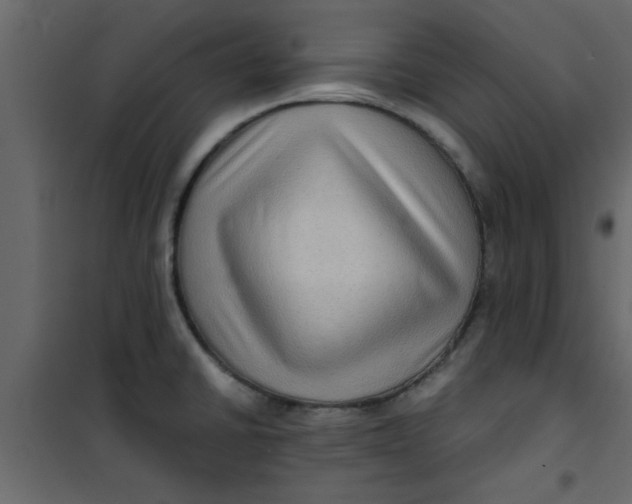 X0000101121430200807171949