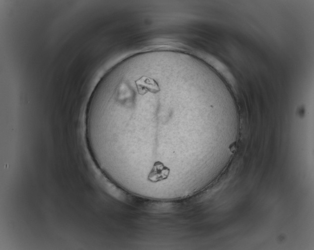 X0000101121431200807171949