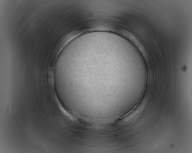 X0000101121433200807171949