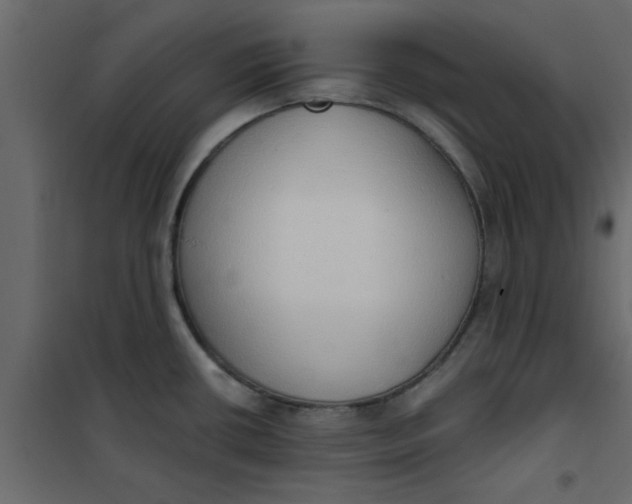 X0000101121434200807171949