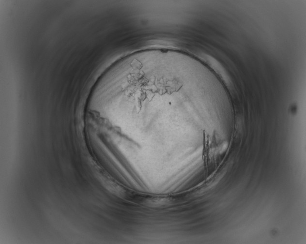 X0000101121435200807171949