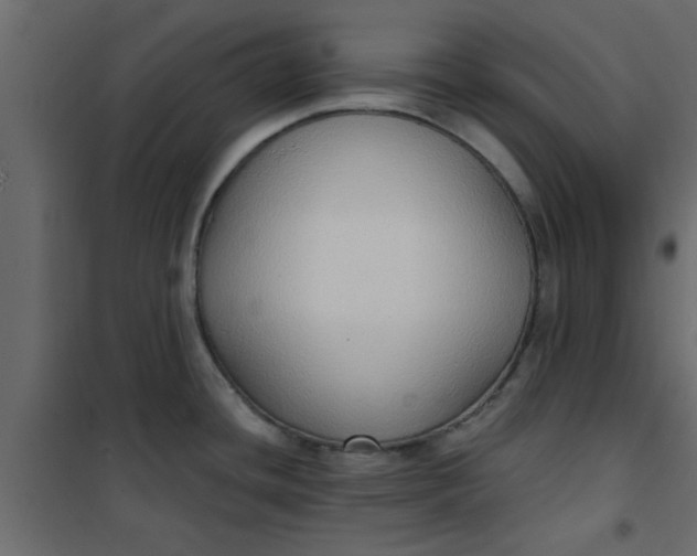 X0000101121436200807171949