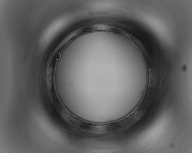 X0000101121438200807171949