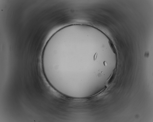 X0000101121440200807171949