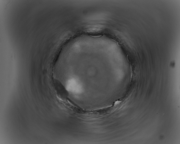 X0000101121441200807171949