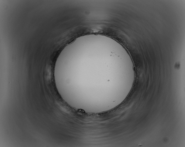 X0000101121442200807171948