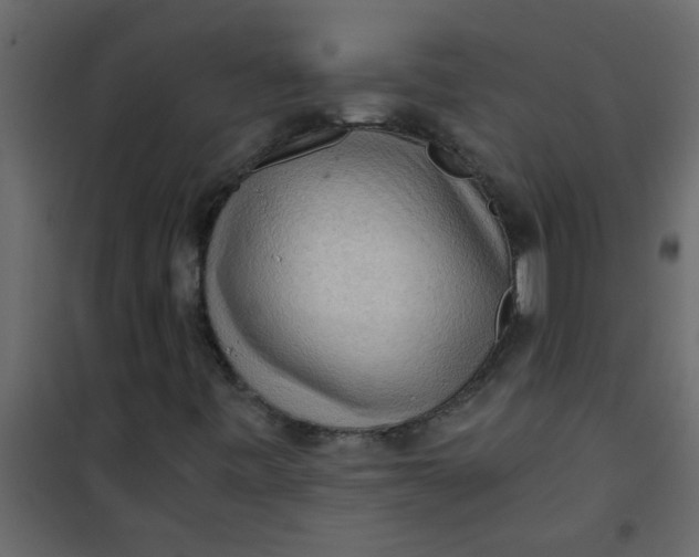 X0000101121443200807171948