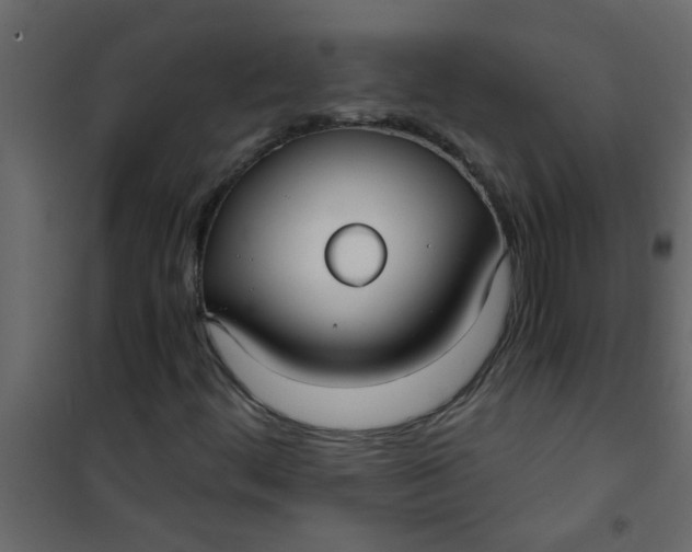 X0000101121444200807171948