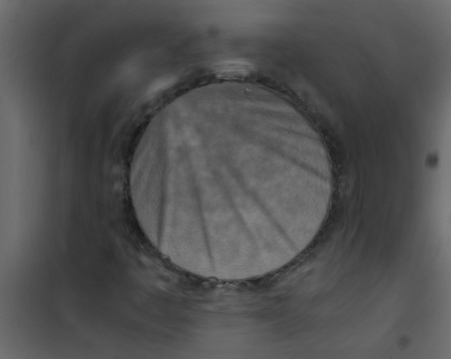 X0000101121445200807171948