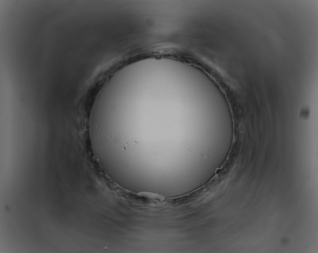 X0000101121447200807171948