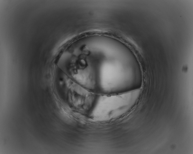 X0000101121448200807171948