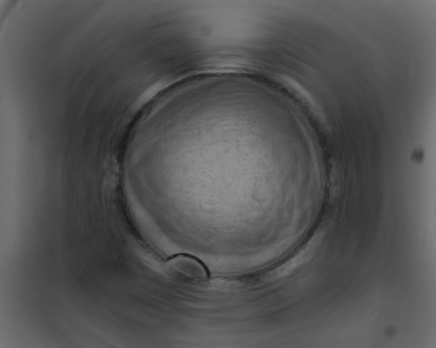 X0000101121449200807171948