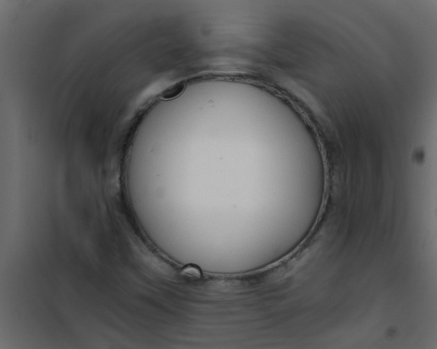 X0000101121451200807171948