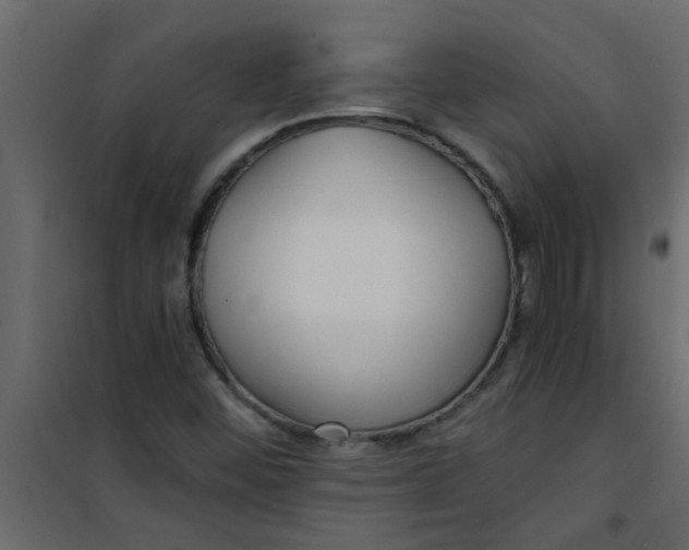 X0000101121452200807171948