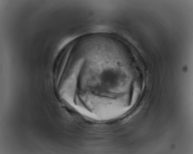X0000101121453200807171948