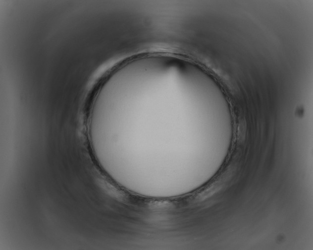 X0000101121454200807171948
