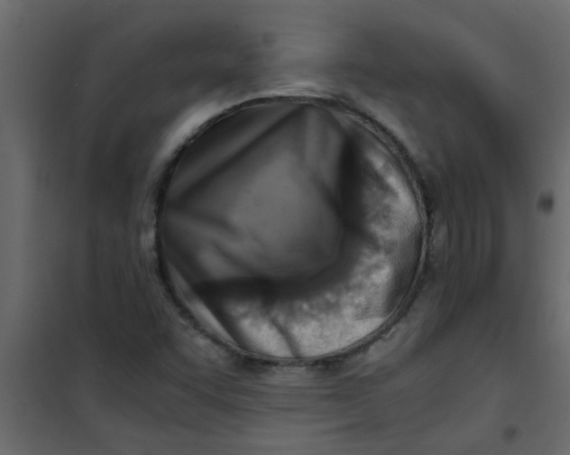 X0000101121455200807171948