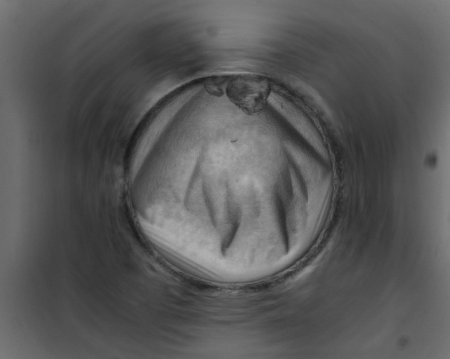 X0000101121457200807171948