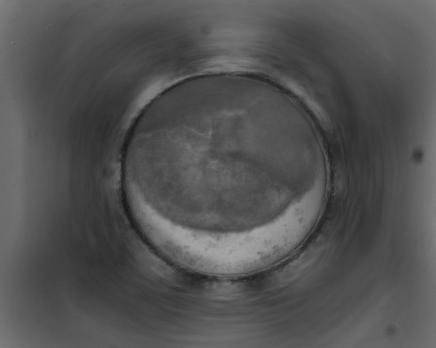 X0000101121459200807171948