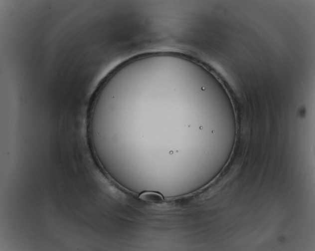 X0000101121460200807171948
