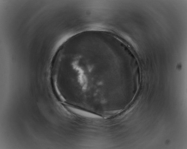 X0000101121463200807171948