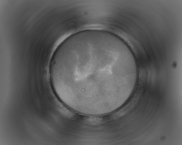 X0000101121466200807171948