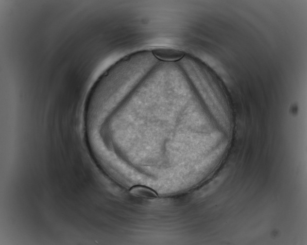 X0000101121469200807171948