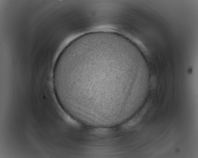 X0000101121470200807171948