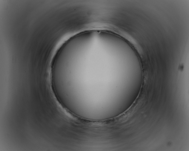 X0000101121472200807171948