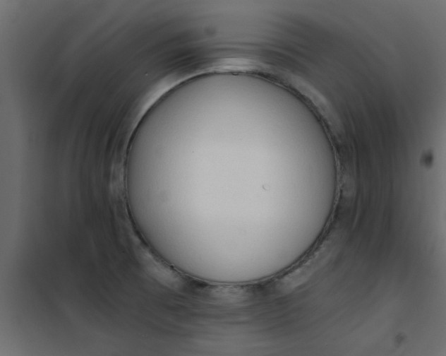 X0000101121473200807171948