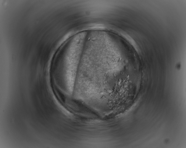 X0000101121475200807171948