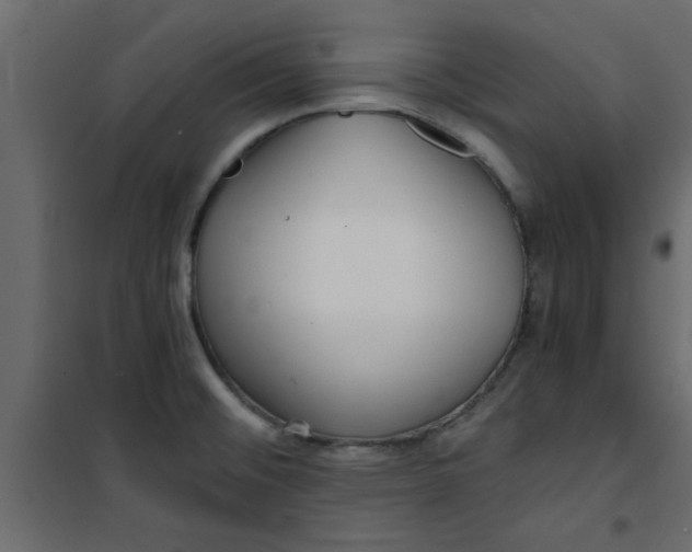 X0000101121476200807171948