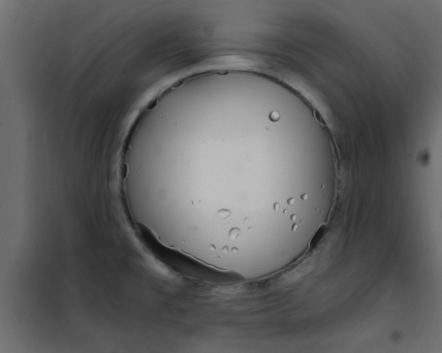 X0000101121477200807171948