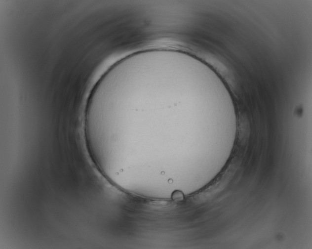 X0000101121478200807171948