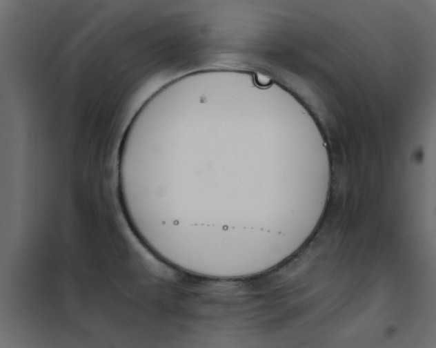 X0000101121479200807171948