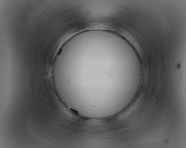 X0000101121481200807171948