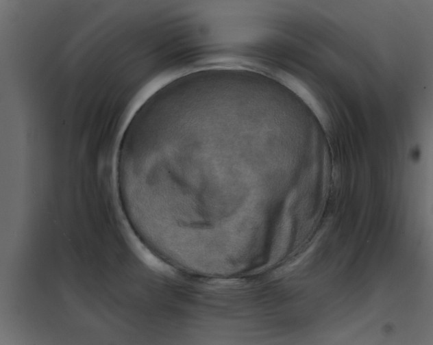 X0000101121482200807171948