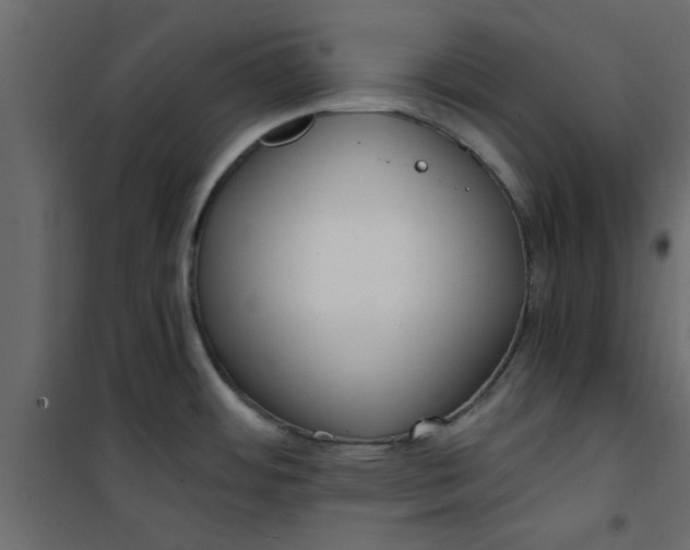 X0000101121484200807171948