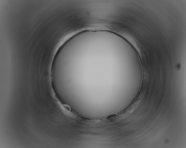 X0000101121485200807171948