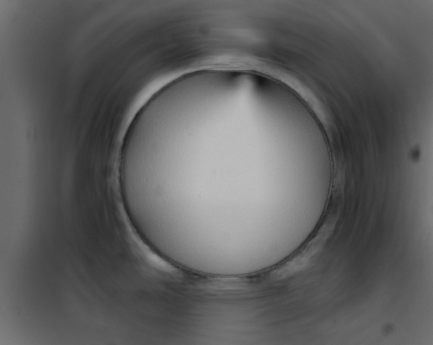 X0000101121486200807171948