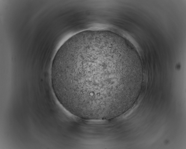 X0000101121487200807171948