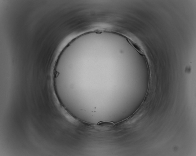 X0000101121488200807171948
