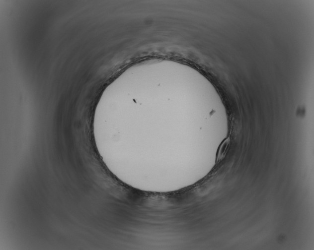 X0000101121489200807171947