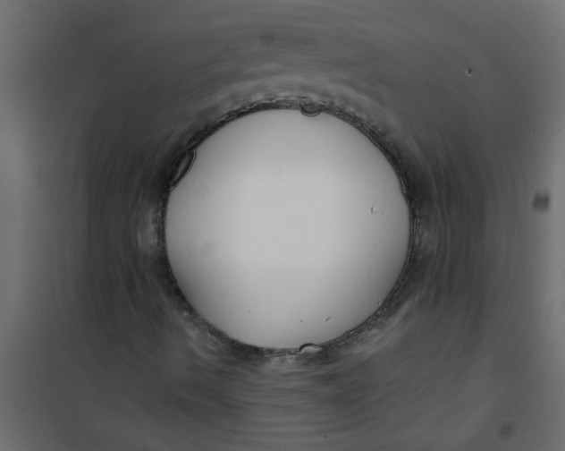 X0000101121490200807171947