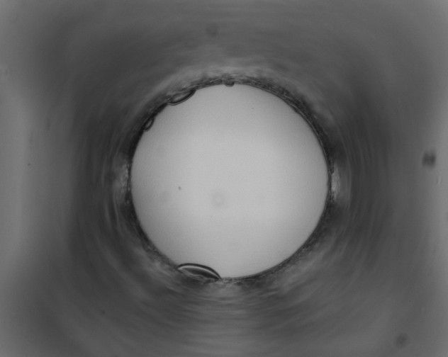 X0000101121492200807171947