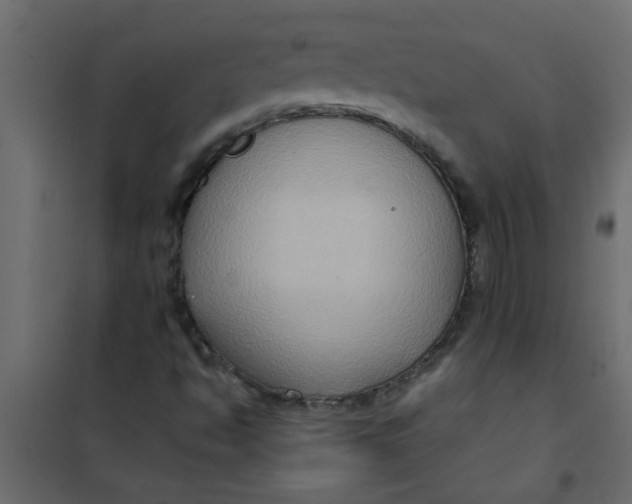 X0000101121494200807171947