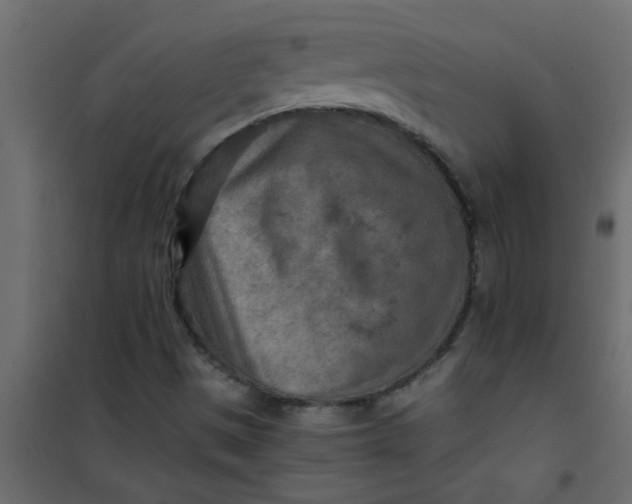 X0000101121497200807171947