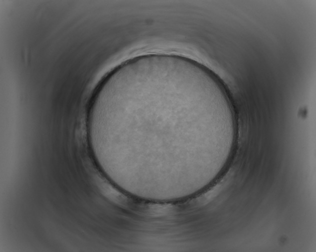 X0000101121498200807171947