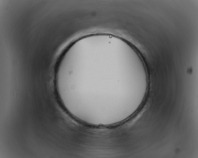X0000101121502200807171947