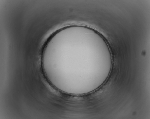X0000101121503200807171947